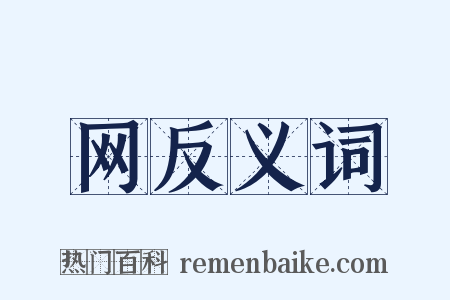 网反义词是什么意思的图片
